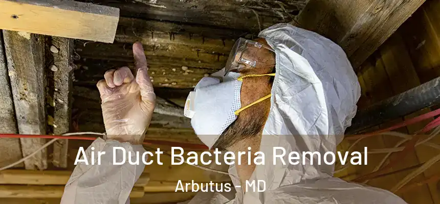  Air Duct Bacteria Removal Arbutus - MD