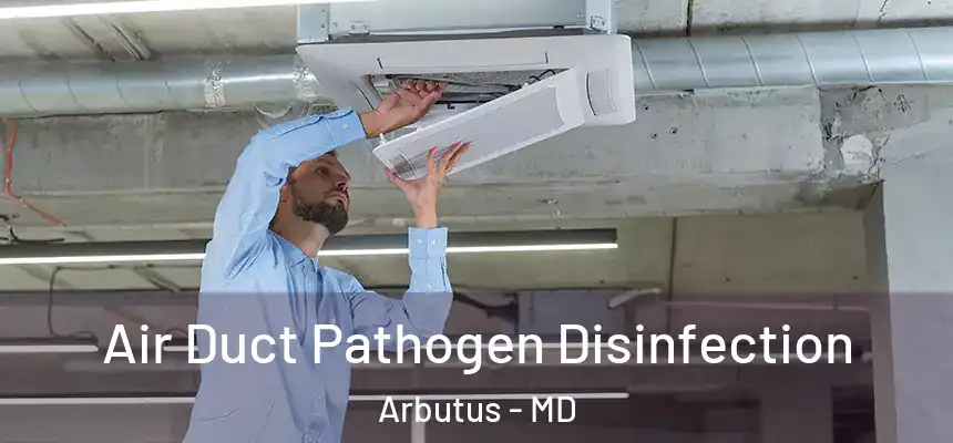  Air Duct Pathogen Disinfection Arbutus - MD