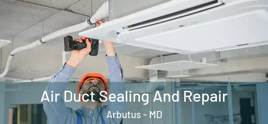  Air Duct Sealing And Repair Arbutus - MD