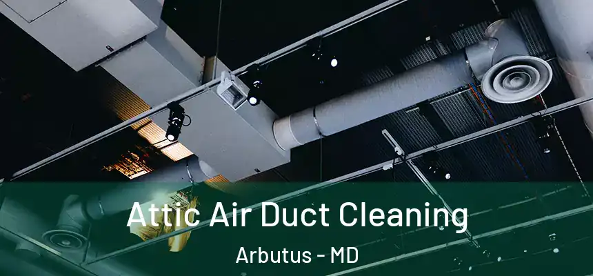 Attic Air Duct Cleaning Arbutus - MD