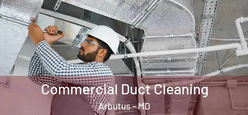  Commercial Duct Cleaning Arbutus - MD