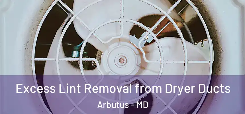  Excess Lint Removal from Dryer Ducts Arbutus - MD