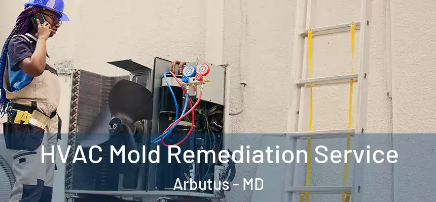  HVAC Mold Remediation Service Arbutus - MD