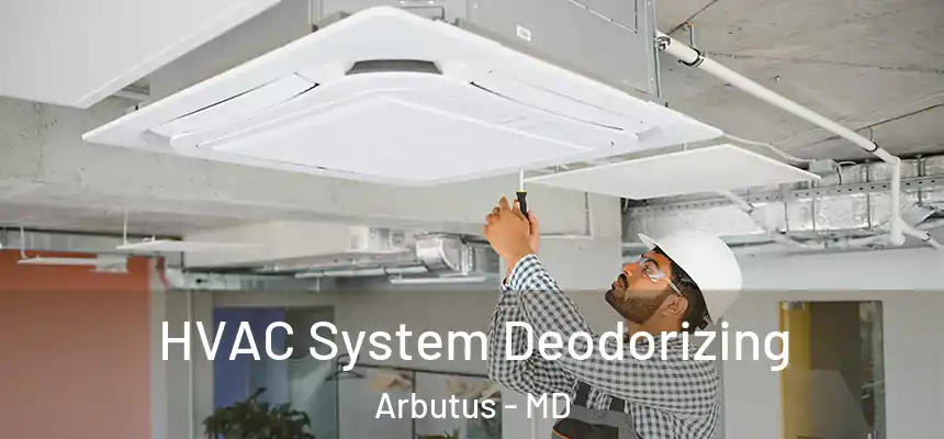  HVAC System Deodorizing Arbutus - MD