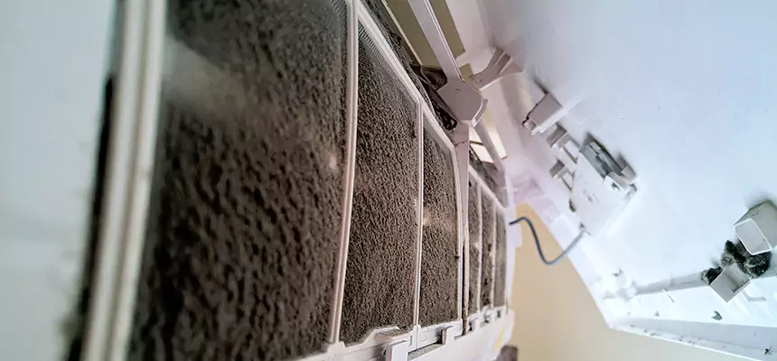 Preventive Air Duct Bacteria Removal in Arbutus