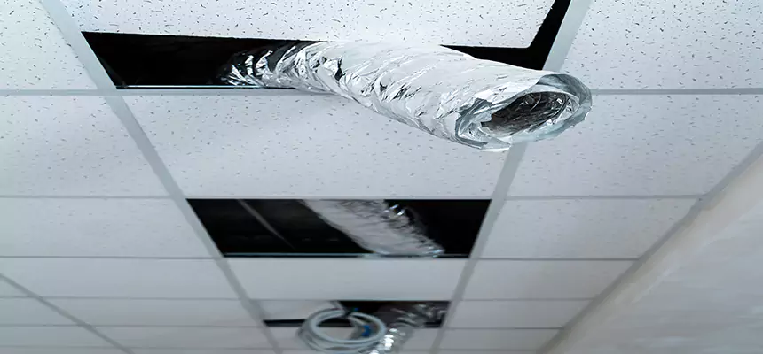 Our Air Duct Pet Hair Removal Services in Arbutus, MD