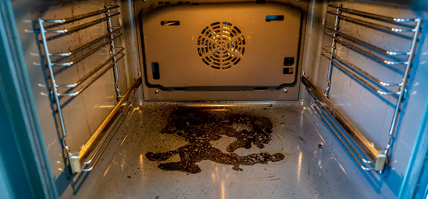 Our Dryer Vent Mold Cleaning Services in Arbutus, MD