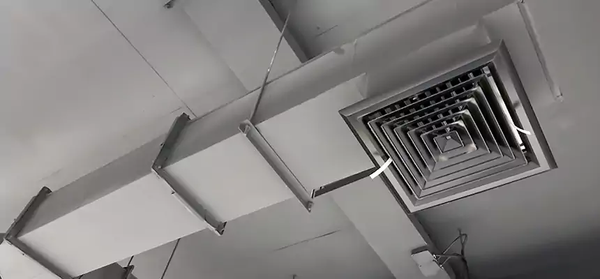 Our Rodent Droppings In Vents Services in Arbutus, MD