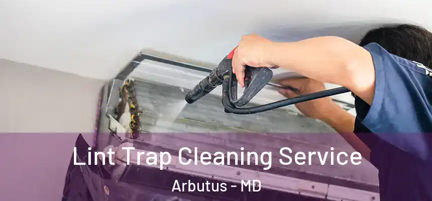 Lint Trap Cleaning Service Arbutus - MD