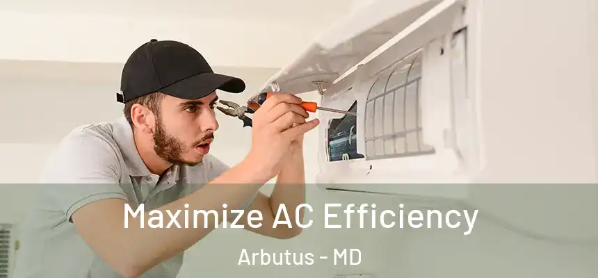 Maximize AC Efficiency Arbutus - MD