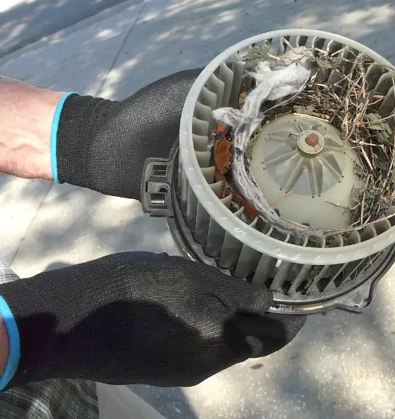 About Air Duct Mice Removal in Arbutus, MD