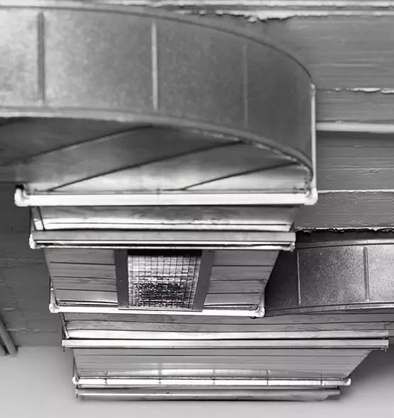 Professional Air Duct Pet Hair Removal in Arbutus, MD