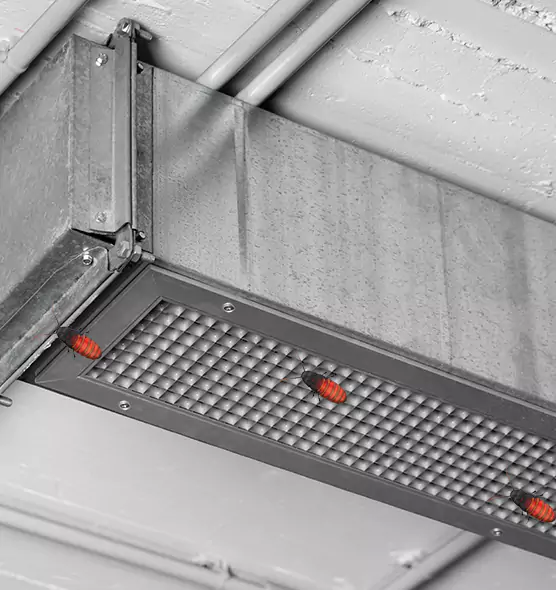 Affordable Insect Removal from Air Ducts in Arbutus, MD
