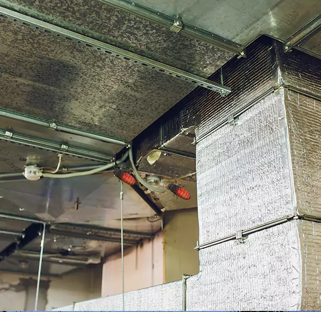 Why Homeowners & Businesses Trust Us in Arbutus, MD?