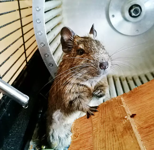 Why Homeowners & Businesses Trust Us Arbutus, MD