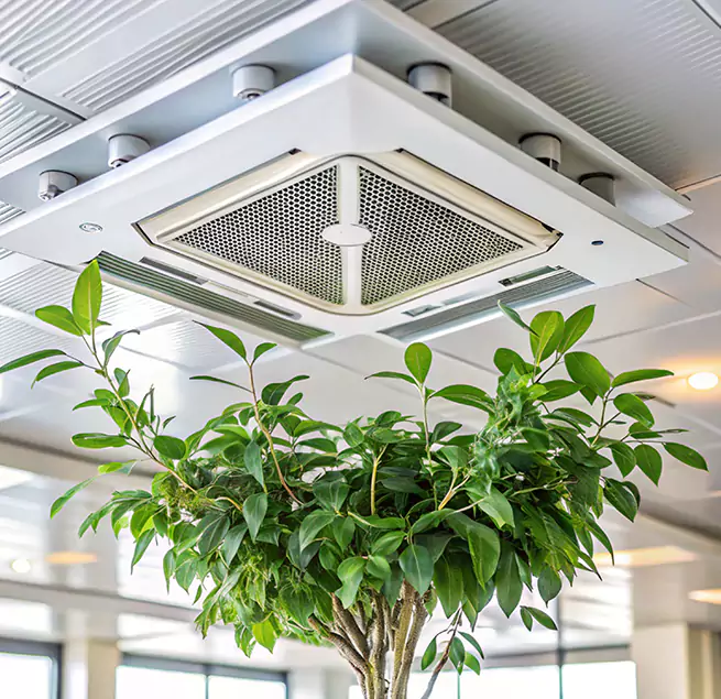 Why Homeowners & Businesses Trust Us in Arbutus, MD?