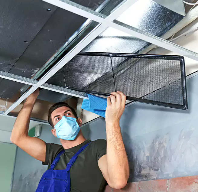 Why Homeowners Businesses Trust Us in Arbutus, MD